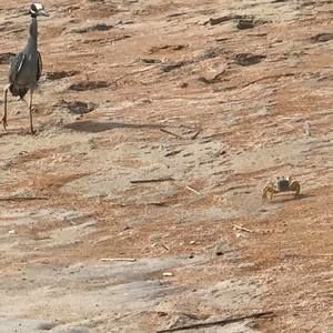 Meet your Posher, Randy